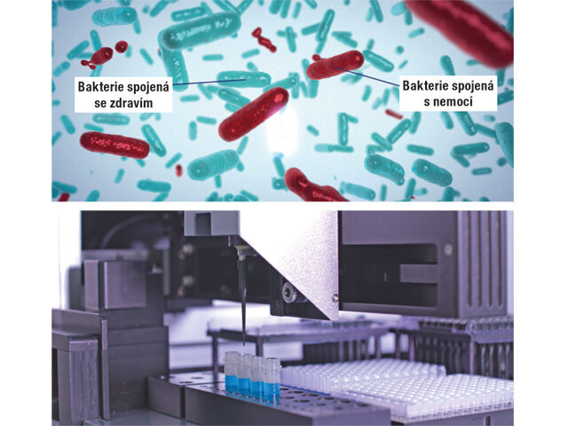 Bakterie spojená se zdravím / Bakterie spojená s nemocí