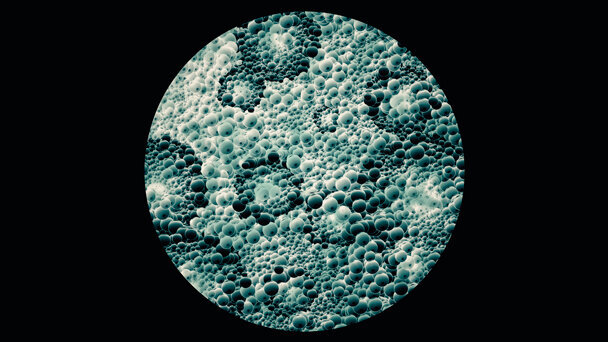 I have a dream: il cavo orale finestra della salute