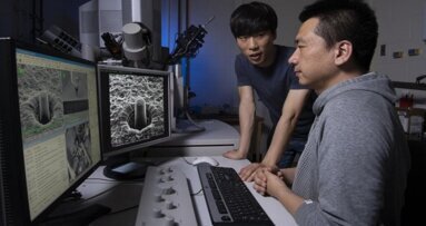 Application of electric field during formation increases plasticity of dental ceramics