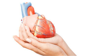 Más vínculos entre enfermedad periodontal y problemas cardíacos Más vínculos entre enfermedad periodontal y problemas cardíacos