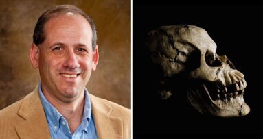 Nova pesquisa confirma relação entre desgaste dos dentes e dieta em fósseis