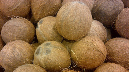 Kokosnootolie tegen tandbederf