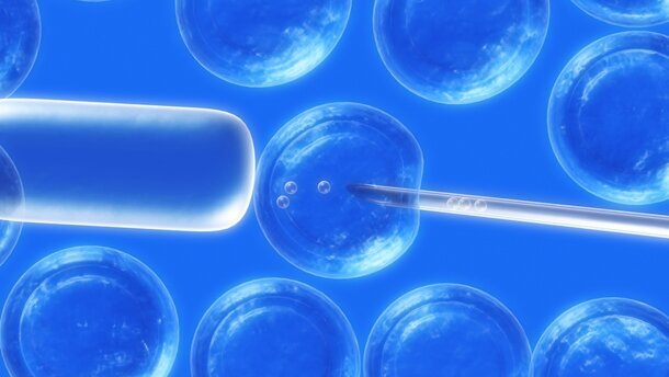 Stammzellen aus dem Zahnmark