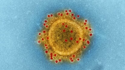 “El coronavirus nos ha mostrado nuestra vulnerabilidad” “El coronavirus nos ha mostrado nuestra vulnerabilidad”