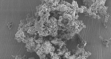 Tooth fillings of the future may incorporate bioactive glass