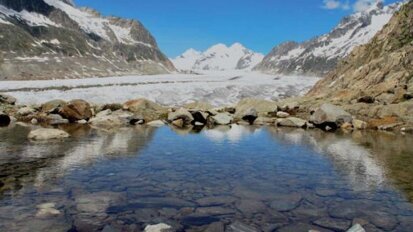 Nowe perspektywy dla codziennej procedury mycia zębów?