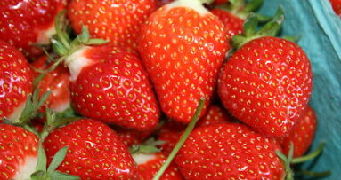 ISTRAŽIVAČI KAŽU DA JE VOĆE NAJBOLJE SREDSTVO ZA IZBJELJIVANJE ZUBI