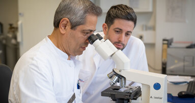 Freiburger Forschung bringt Licht ins Bakteriendunkel im Mund