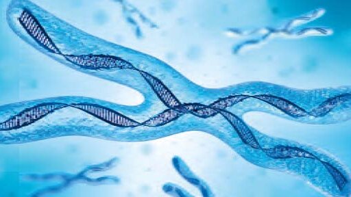 Kombinacija gena identificirana kao rizičan faktor u uspješnosti dentalnih implantata