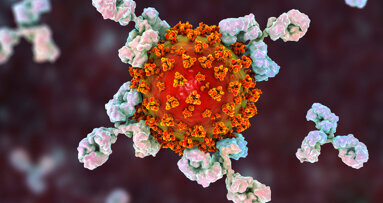 Antibody testing for SARS-CoV-2: “We need to talk more about it”