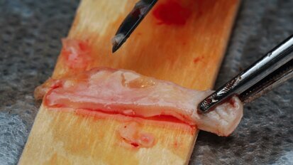 Perio Master Clinic llega a las Américas