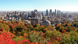 Journées Dentaires Internationales du Québec