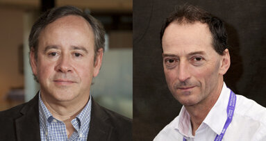 L’EFP pubblica le prime linee guida internazionali consensuali per il trattamento della parodontite