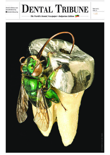 DT Bulgaria No. 3, 2025