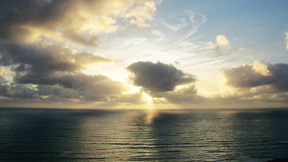 AAP headed for sunny SoCal