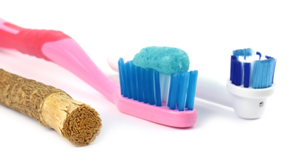 Zähneputzen ohne Plastik – der Miswak machts möglich Zähneputzen ohne Plastik – der Miswak machts möglich