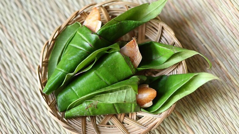 Study finds almost all Myanmar mouth cancer patients chew betel quid