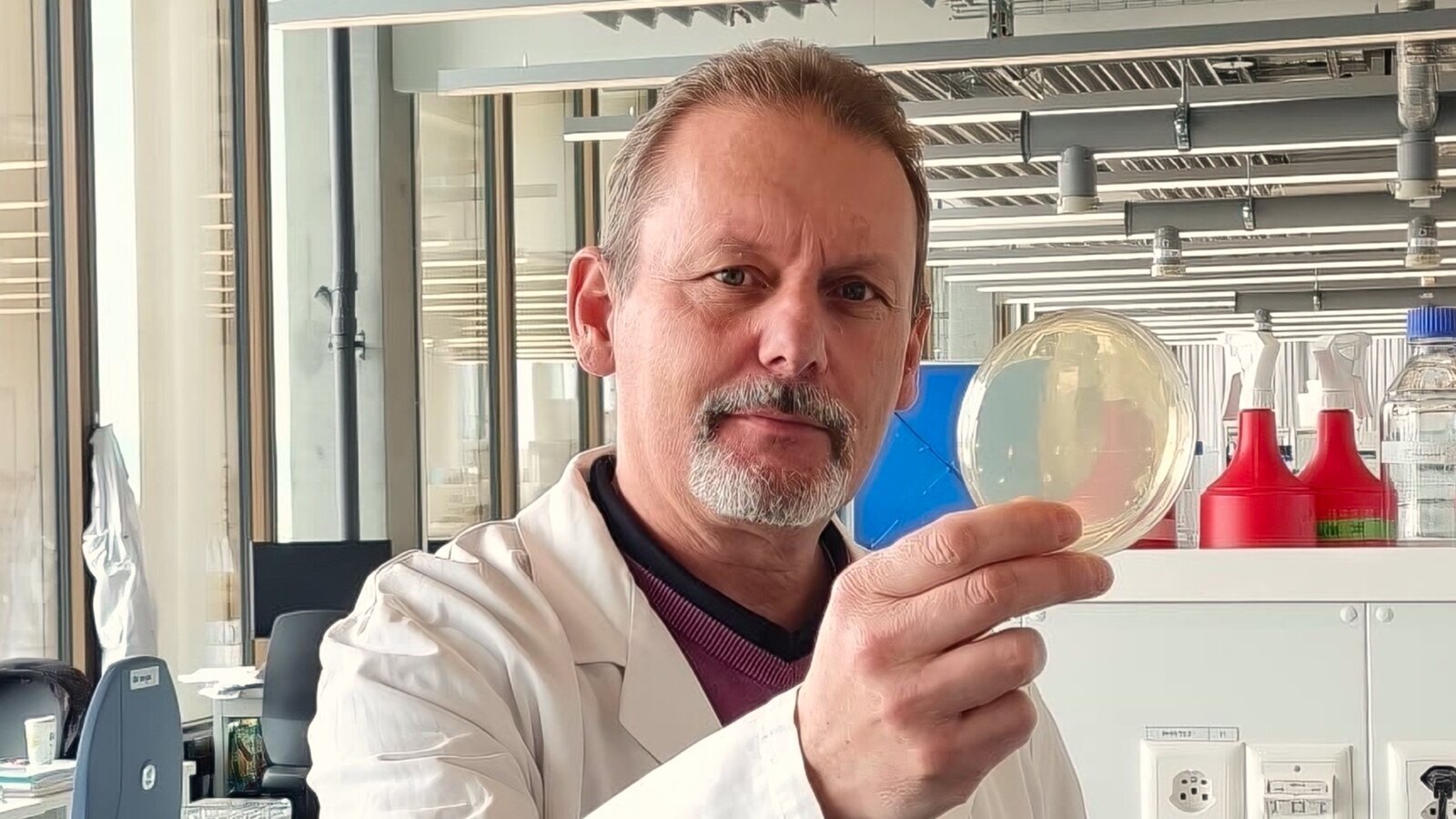 ¿Qué tienen que ver las abejas con la pasta de dientes?