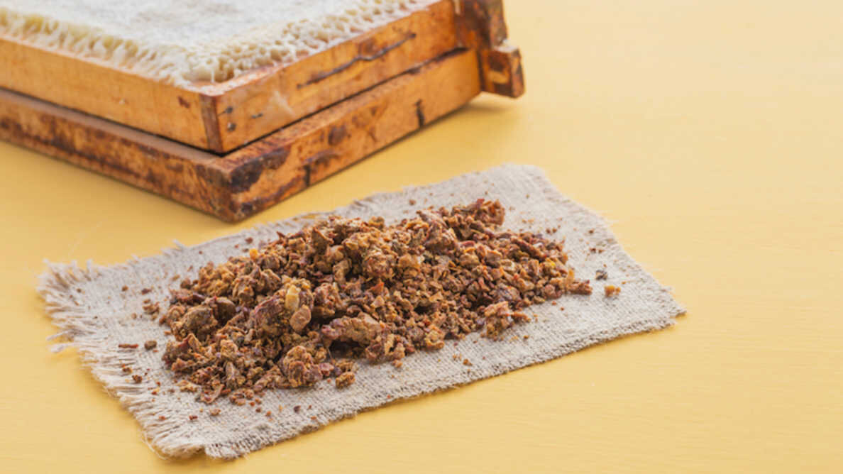 Mieszanka tlenku cynku i propolisu daje obiecujące wyniki w leczeniu endodontycznym