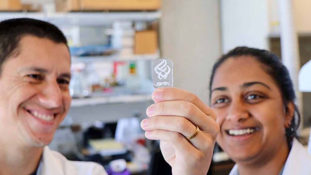 Desarrollan un material similar al hueso