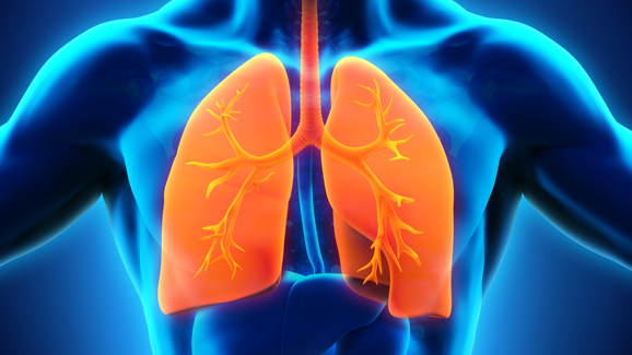 Zusammenhang zwischen Zahnfleischerkrankungen und Asthma