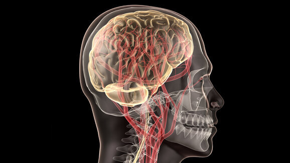 Fluorid negativ für neurologische Entwicklung?