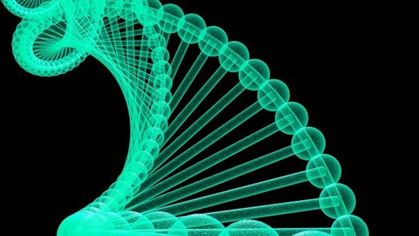 Gene für frühes Zahnwachstum identifiziert