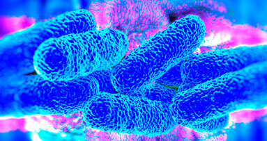 Legionella, grazie ad Associazione Italiane Odontoiatri presto linee guida più pratiche