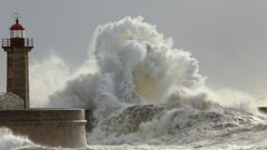 Column Erik Ranzijn: Storm