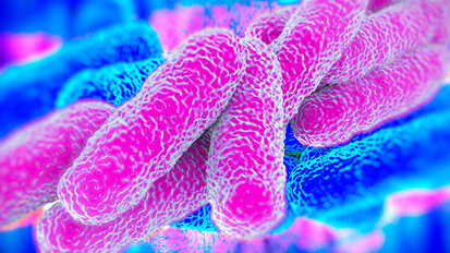 AIO: sulla legionella basta normale disinfezione, sì a raccomandazioni ministeriali, no ad ulteriori allarmismi