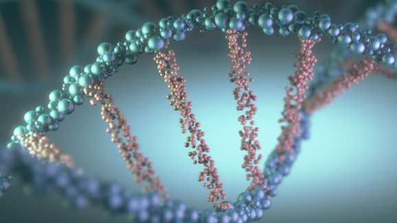 Gene für Entstehung von Parodontitis identifiziert