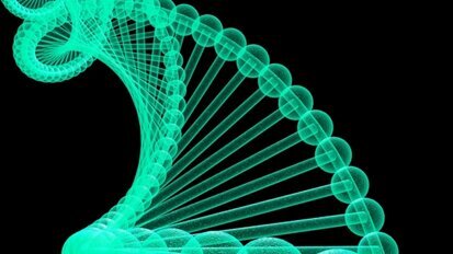 Gene für frühes Zahnwachstum identifiziert Gene für frühes Zahnwachstum identifiziert