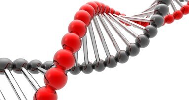 Neue Genorte für Lippen-Kiefer-Gaumenspalte entdeckt