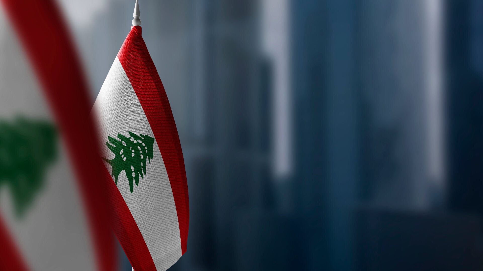 “FDI’s Oral Health Observatory project came at a crucial time for Lebanon”