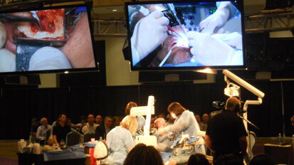 AAE aims to ‘bridge the gap’