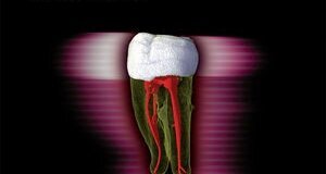 Prikaz knjige „ENDODONTOLOGIJA“