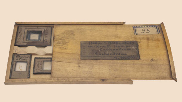 Charité: 300 Jahre Medizin in Berlin