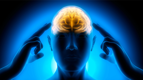 Herpes begünstigt Erkrankung an Alzheimer