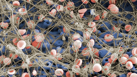 TiUnite:  in armonia con Madre Natura