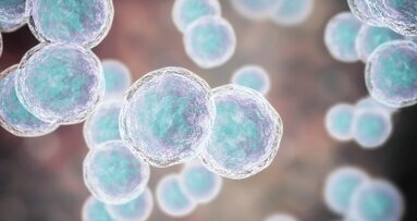 Review bewijst verband orale microbioom en kanker