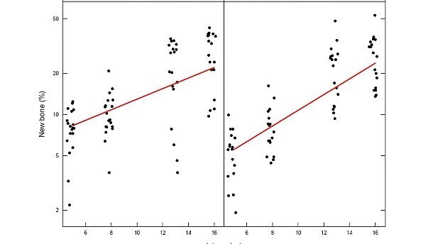 Knochenregeneration erreichen