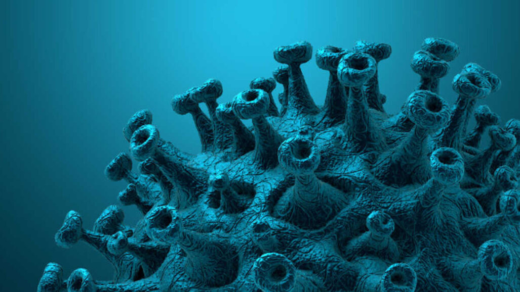 Secondo l'indagine Baird, due terzi degli studi dentistici statunitensi ora sono chiusi