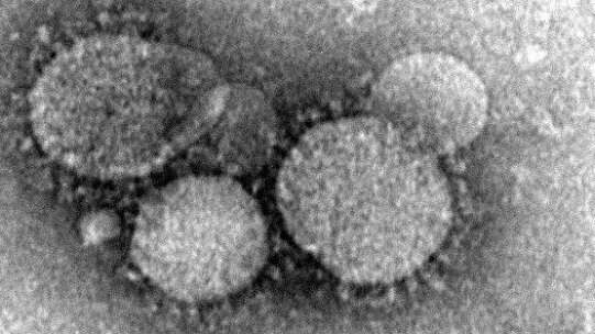 美传染病控制协会为牙科医生提供传染疾病的最新信息