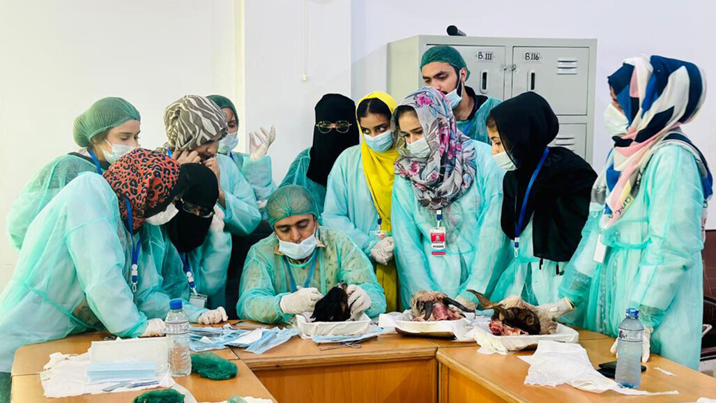BDMC arranges hands-on workshop on basic dental surgery skills