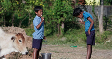 World Health Organization incorporates feedback from FDI into revised action plan