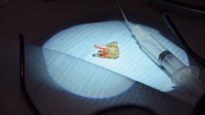 Dental endodontic teeth with roots for endodontic practice.