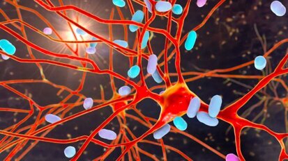 Проучване идентифицира орални бактерии, които понижават антивирусния имунитет в устната кухина