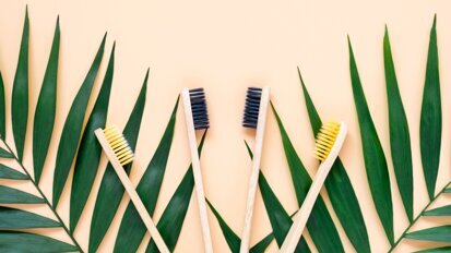 Các trường đại học hàng đầu ủng hộ cách tiếp cận toàn diện đối với tính bền vững