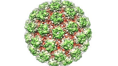 Steeds vaker keelkanker door orale seks
