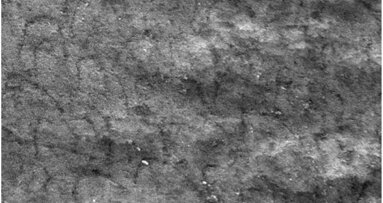 Efectos colaterales del aclaramiento dental activado por luz y calor